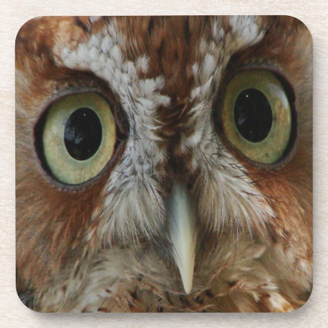 Extreme Owl Coaster (Front)