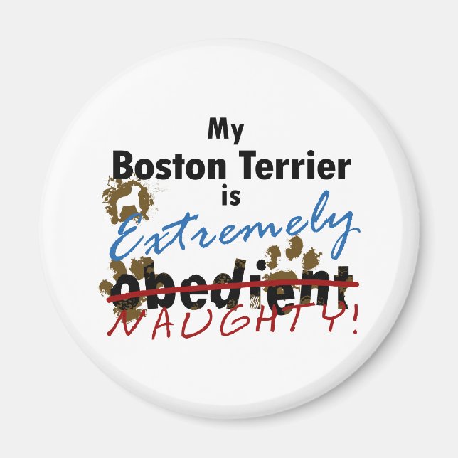 Extremely Naughty Boston Terrier Magnet (Front)