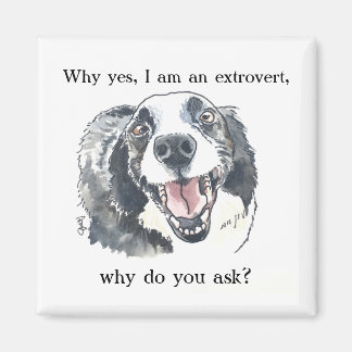 Extrovert Pride Fridge Magnet