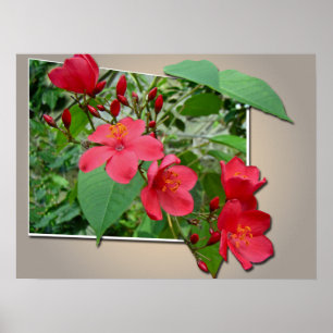 Exuberant Red Cascade Poster