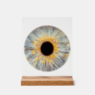 Eye Acrylic Sign