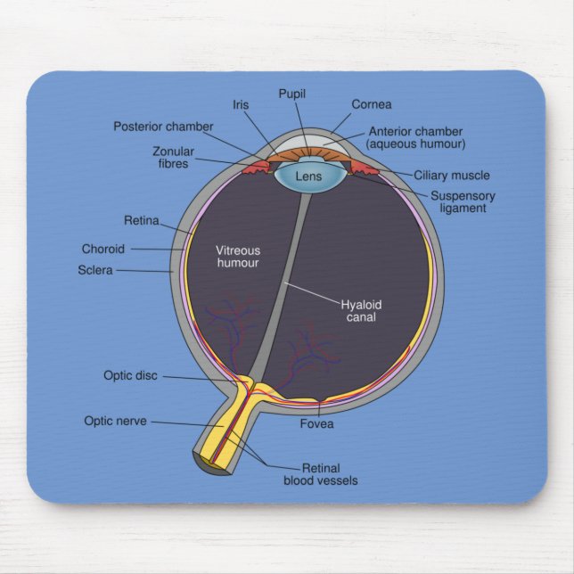Eye Anatomy Mouse Mat (Front)