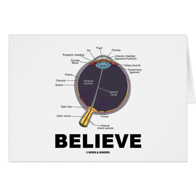 Eye Believe (Anatomical Humour) (Front Horizontal)