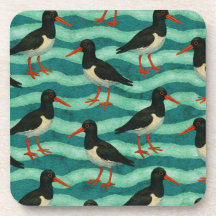 Eye Catching Oyster Catcher