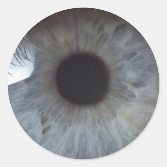 Eye Classic Round Sticker (Front)