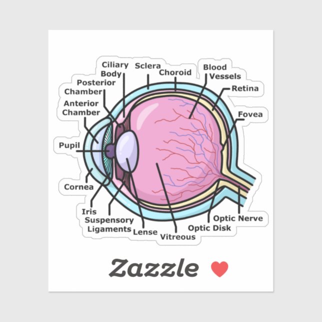 Eye Diagram (Sheet)