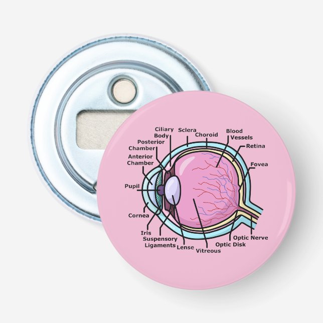 Eye Diagram Bottle Opener (Front)