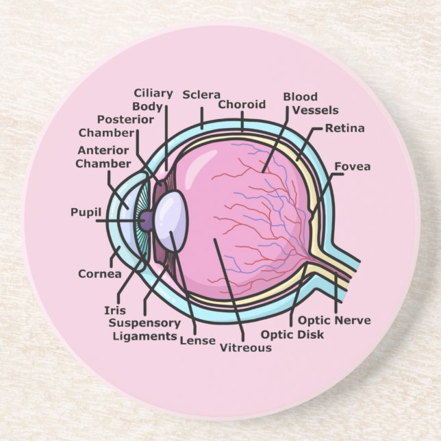 Eye Diagram Coaster (Front)