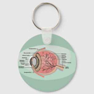 Eye Diagram for National Eye Care Month Key Ring