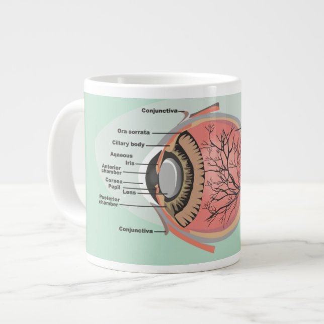 Eye Diagram for National Eye Care Month Large Coffee Mug (Front Left)