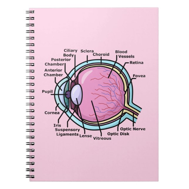 Eye Diagram Notebook (Front)