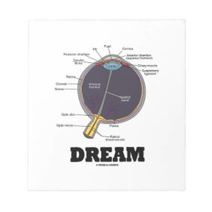 Eye Dream Anatomical Human Eyeball Humour Notepad