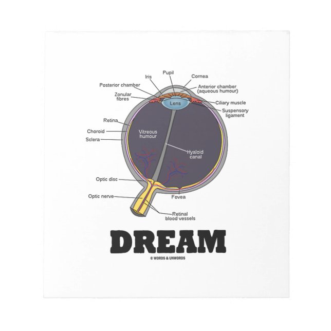 Eye Dream Anatomical Human Eyeball Humour Notepad (Front)