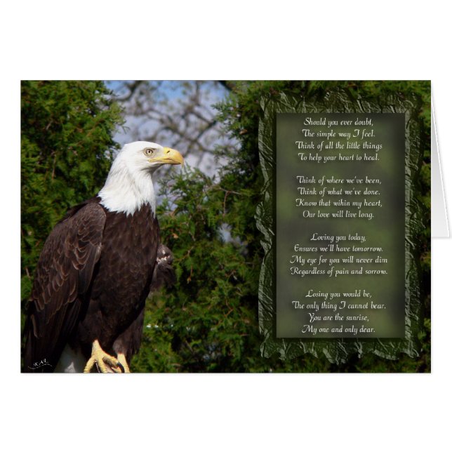 Eye For You (Front Horizontal)