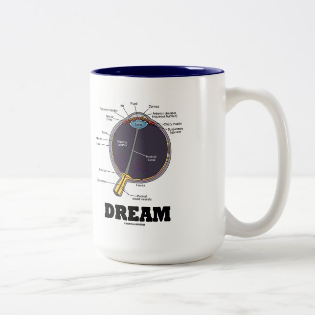 Eye (I) Dream (Anatomical Human Eyeball) Two-Tone Coffee Mug (Right)