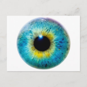 Eye I Postcard