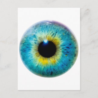 Eye I Postcard