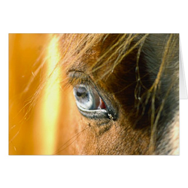 Eye Love You (Front Horizontal)