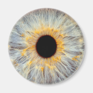 Eye Magnet