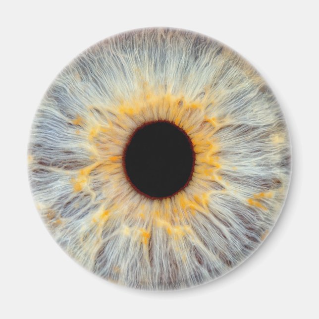 Eye Magnet (Front)