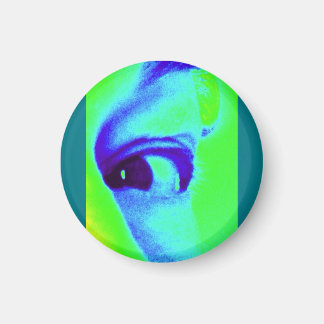 Eye Magnet