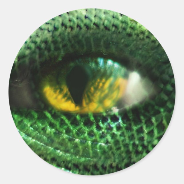 Eye of a.. classic round sticker (Front)