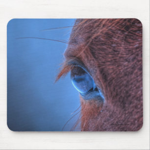 Eye of Chestnut Horse Equine Photo Mouse Mat