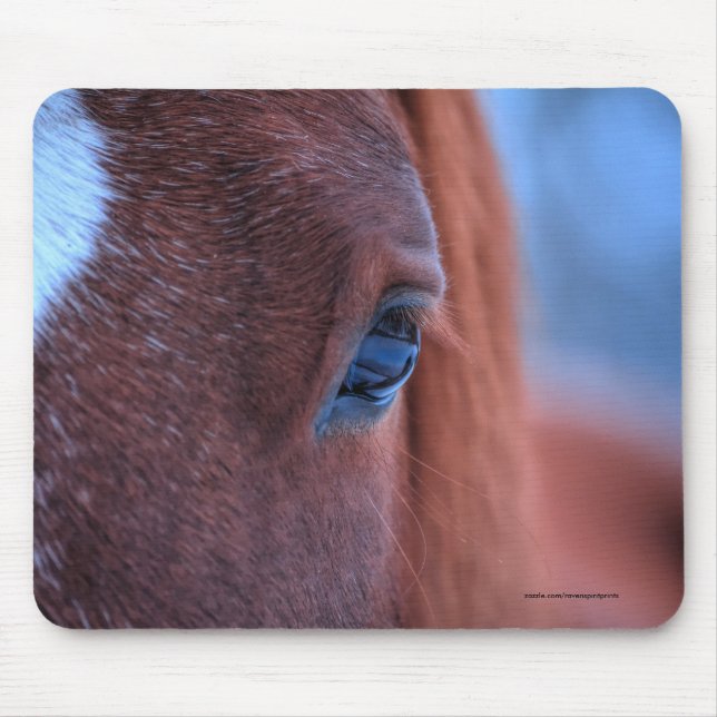 Eye of Chestnut Horse Equine Photo Mouse Mat (Front)