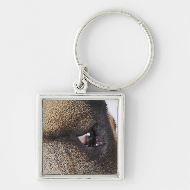 Eye of Great Dane Key Ring (Front)