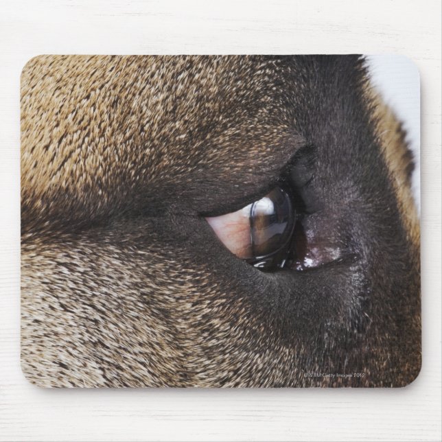 Eye of Great Dane Mouse Mat (Front)