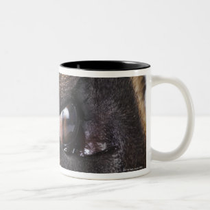 Eye of Great Dane Two-Tone Coffee Mug