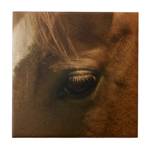 Eye of Horse Tile