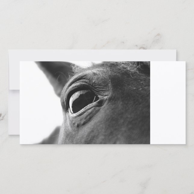 Eye of pony 1 (Front)