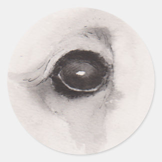 Eye of the Bear – Gaze Collection Classic Round Sticker