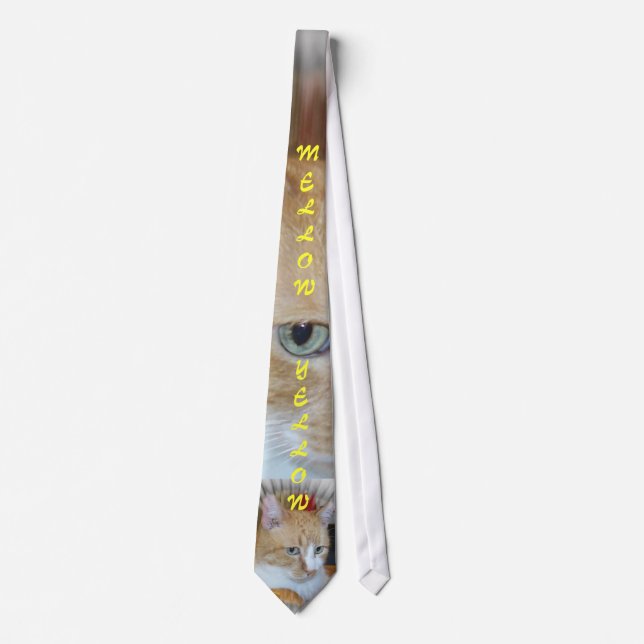 Eye of the Cat Tie (Front)