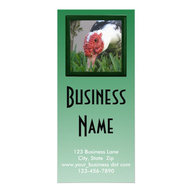 Eye of the Duck Close-Up Photo Business Template Rack Card (Front)