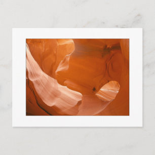 "Eye Of The Eagle" Postcard