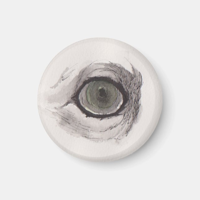 Eye of the Fox – Gaze Collection Magnet (Front)