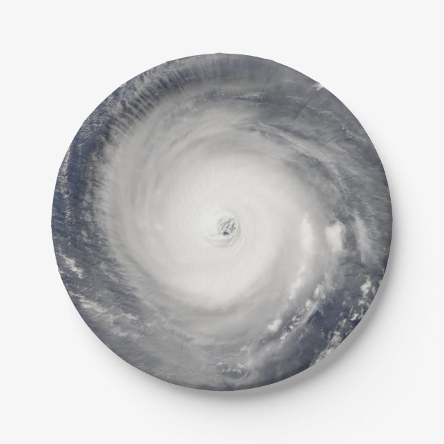 Eye of the Hurricane Paper Plate (Front)