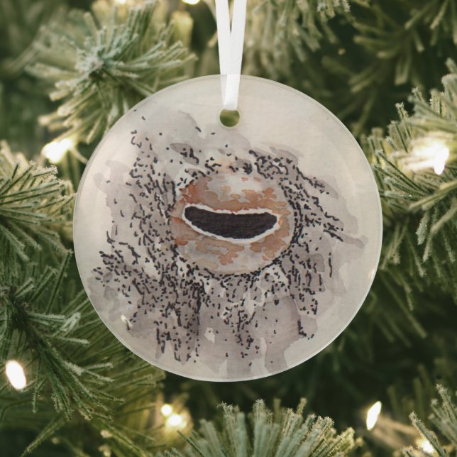 Eye of the octopus – Gaze Collection Glass Tree Decoration (Insitu)