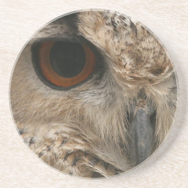 Eye of the Owl Coaster (Front)