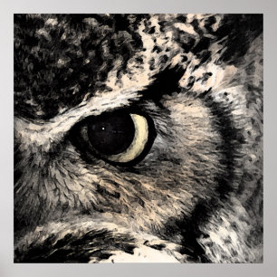 Eye Of The Owl Poster