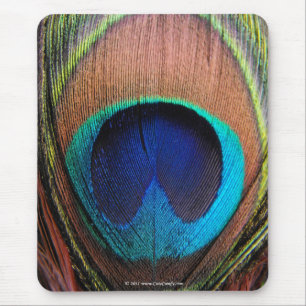 Eye of the Peacock Feather Close-Up Mouse Mat