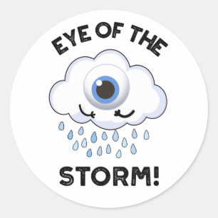Eye Of The Storm Funny Weather Pun  Classic Round Sticker