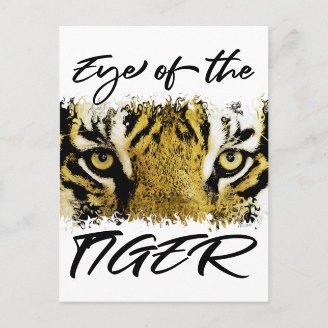 Eye of the tiger, motivational, inspirational postcard (Front)