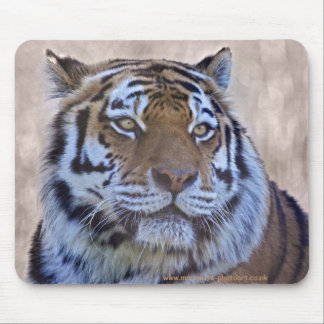 Eye of the Tiger Mousemat