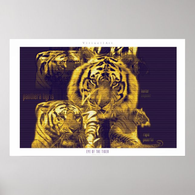 Eye of the Tiger Poster (Front)