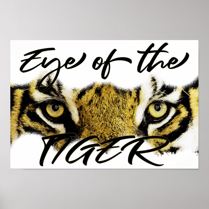 Eye of the tiger, tiger, motivational, inspiration poster | Zazzle.co.uk