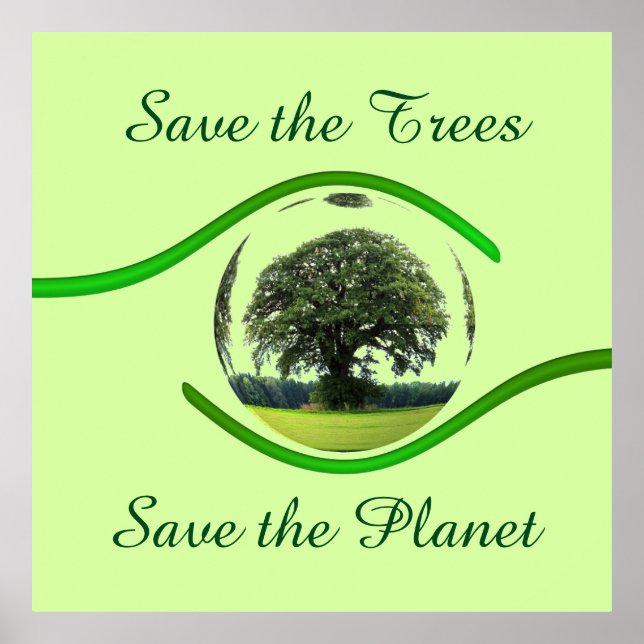 Eye on Ecology Poster (Front)