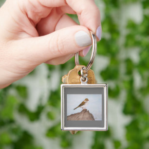 Eye on the Sparrow Keychain